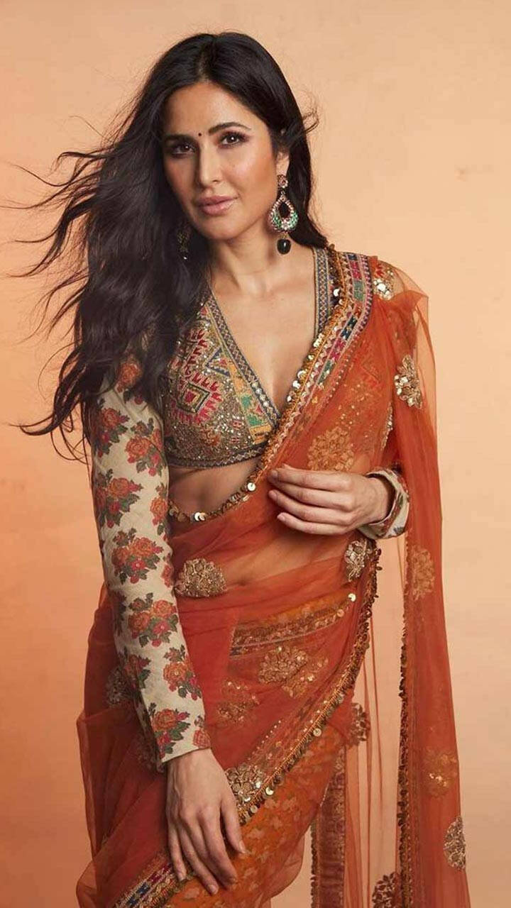 Katrina Kaif's stellar saree looks